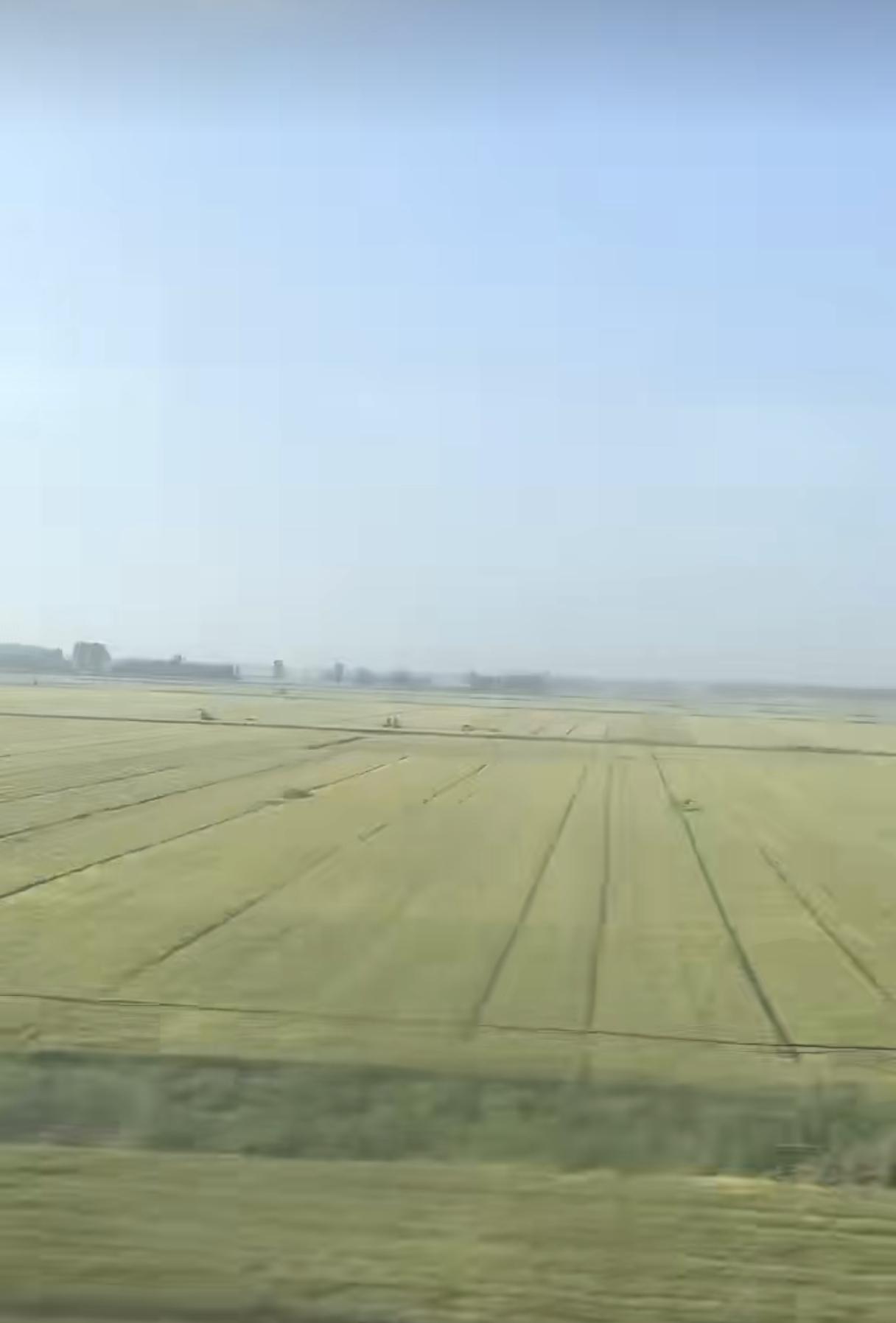 我认为好好休息！工作了一辈子，退休后就好好享受生活了。当前工作不好找，别和年轻人