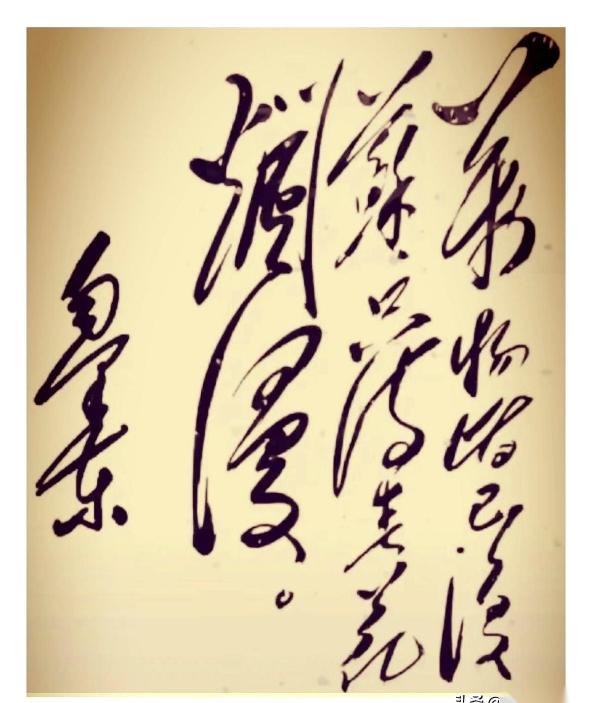 一幅狂草，被圈内人捧上了天。
说它笔锋壮观，格调奔放，是难得一见的顶级佳作。
可