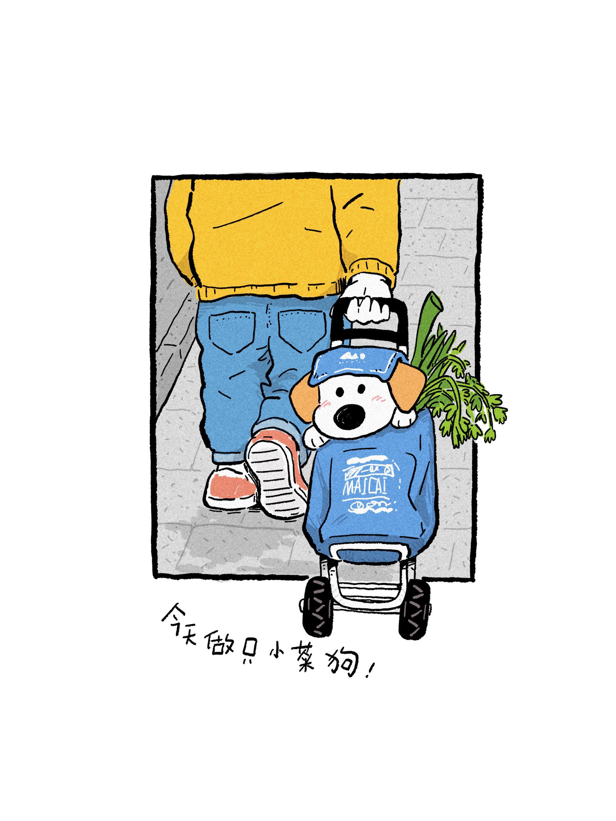 今天做只小菜狗。听话的小菜狗～