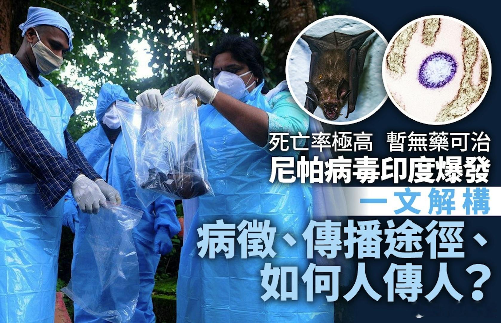 尼帕病毒被列为最危险的病原体之一 印度东部西孟加拉邦出现死亡率极高、暂时无药可治
