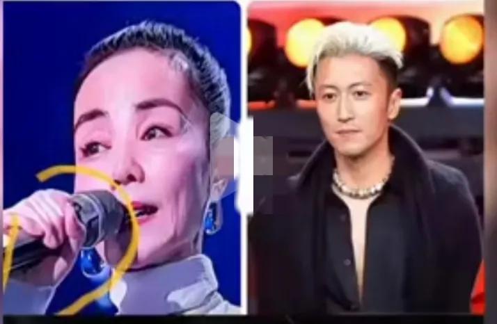 王菲的脸垮了，已经有了老态，谢霆锋还是那么的年轻帅气，感觉他们的外貌也逐渐的拉长