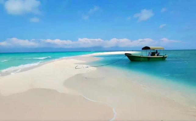 1974年1月在毛主席熟睡之时递来了一份中南海的紧急报告，毛主席醒来后端详了许久