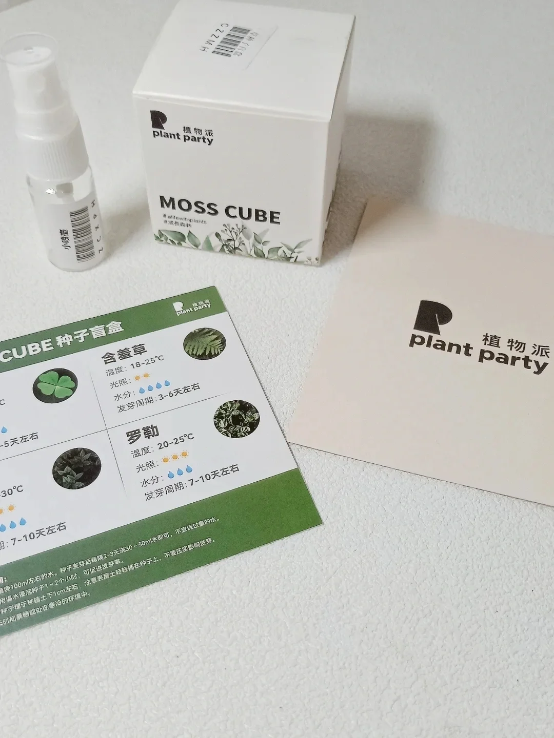 提升桌面氛围感！植物杀手也能养好