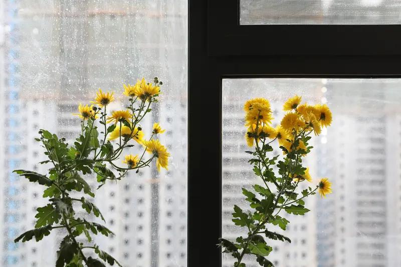 上联：风摇翠竹半帘月，
下联：雨打黄花一窗秋。