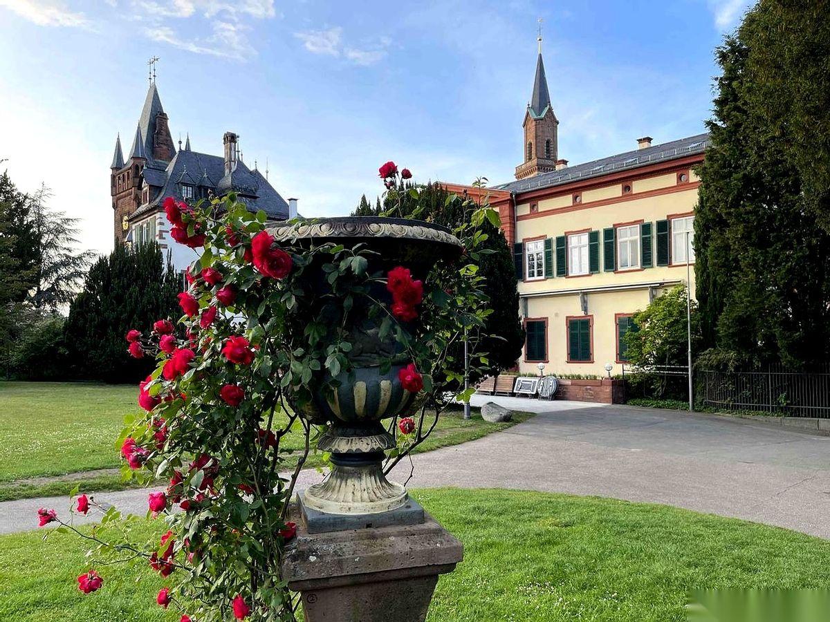 真的，我不是北京人。
不知道为啥，老有人这么猜。
我其实是个地地道道的青海姑娘，