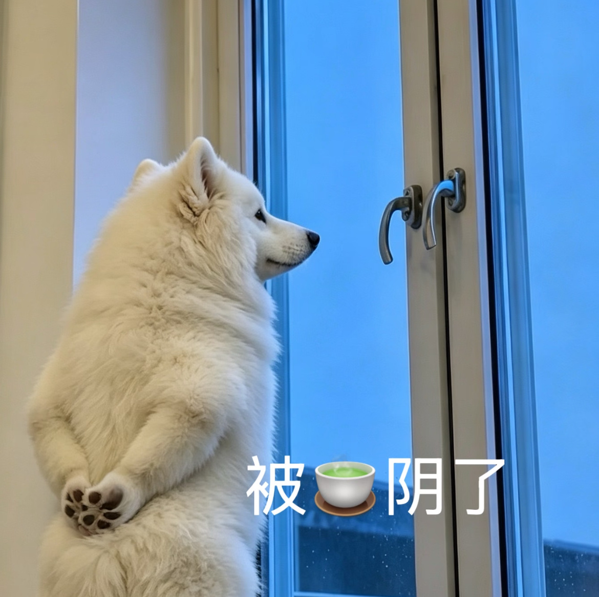 反虐待动物  哥哥们路过帮⛰️ 实时不稳！保持热爱，向阳而生。用善意对待世界，用
