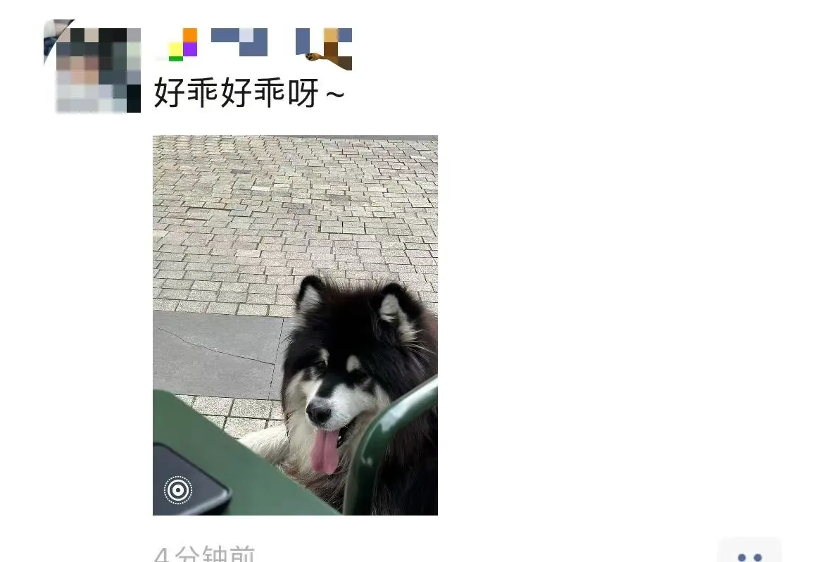 又是出门逛街的一天
