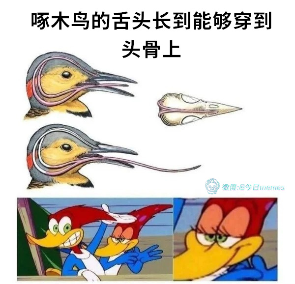哦？（9gag）#今日meme[超话]# #今日memes# ​​​