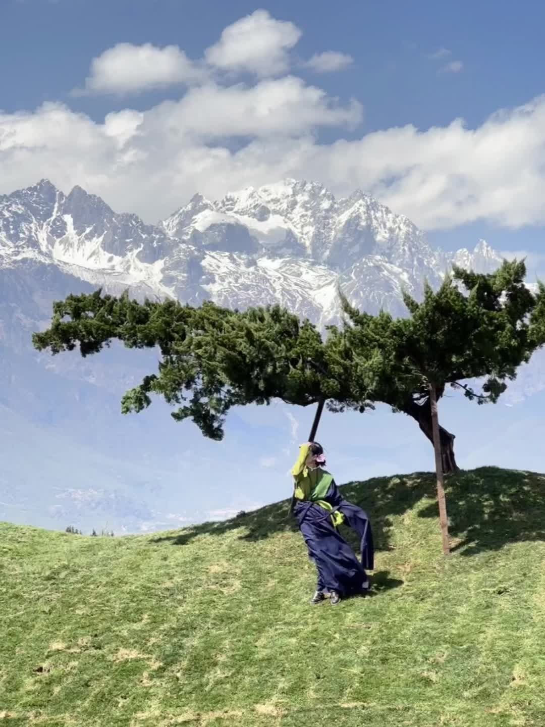 白沙七号树 孤独且自由