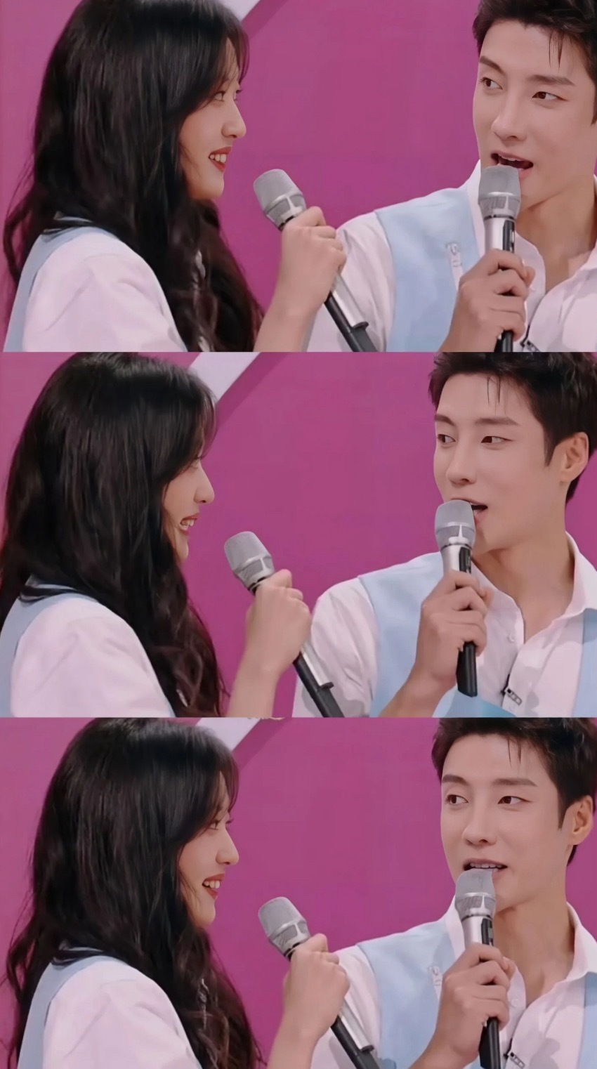 姐狗还是小金毛找到了哈士奇最想要看到是你的微笑 