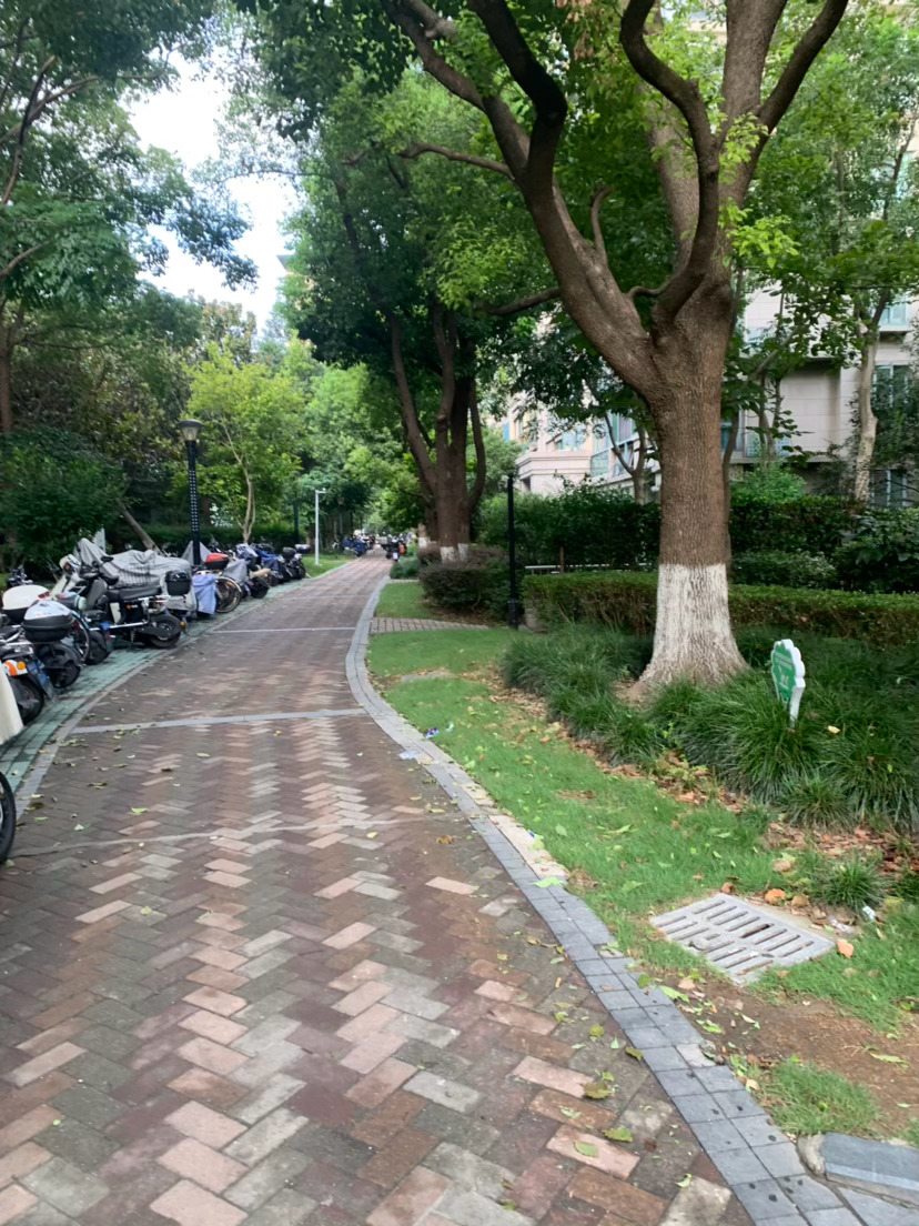 向左还是向右是个艰难的选择 