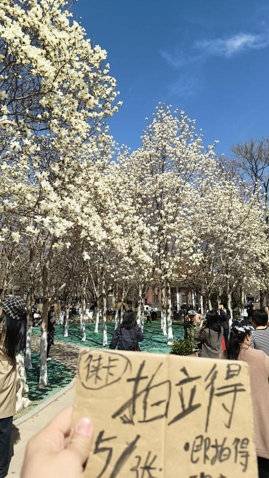 睦南公园拍立得摆摊，圆满成功