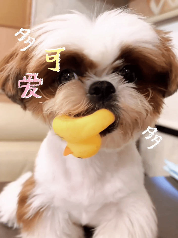 早安 这个世界上回报率最高的，始终都是全力以赴的投资自己～ 