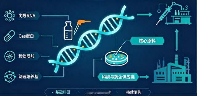 利多星智投：基因编辑产业化，工具耗材迎来放量窗口