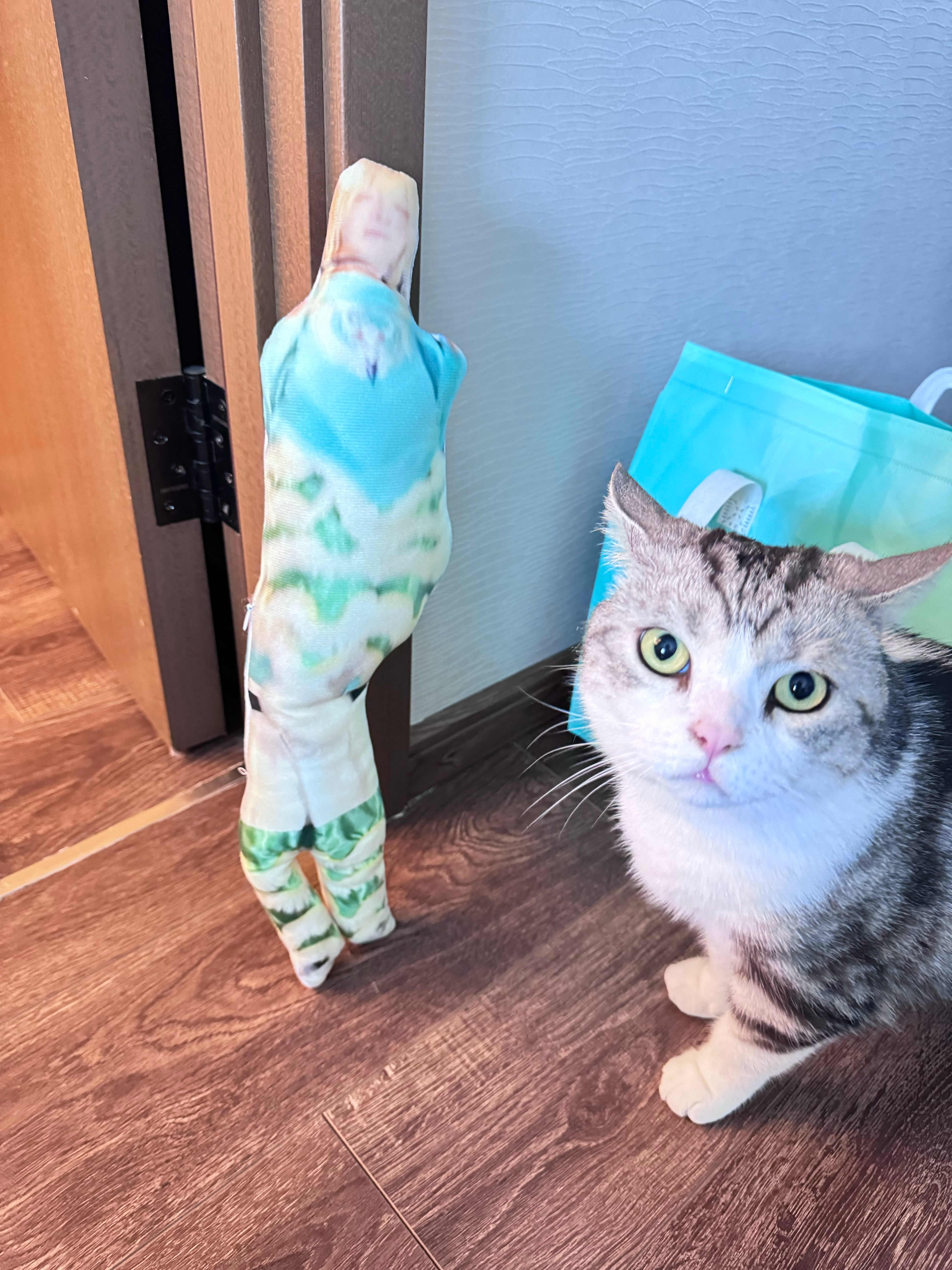 不是，这个？ ​​​