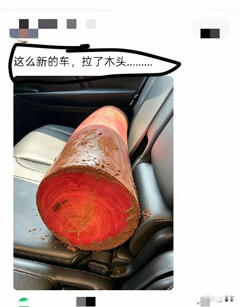 这木头看起来应该是不便宜