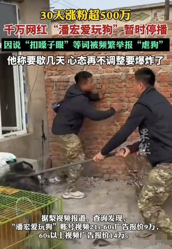 潘宏爱玩狗涉嫌虐狗吗潘宏以其独特的训狗方式走红网络，尤其是对一些具有攻击性或行为