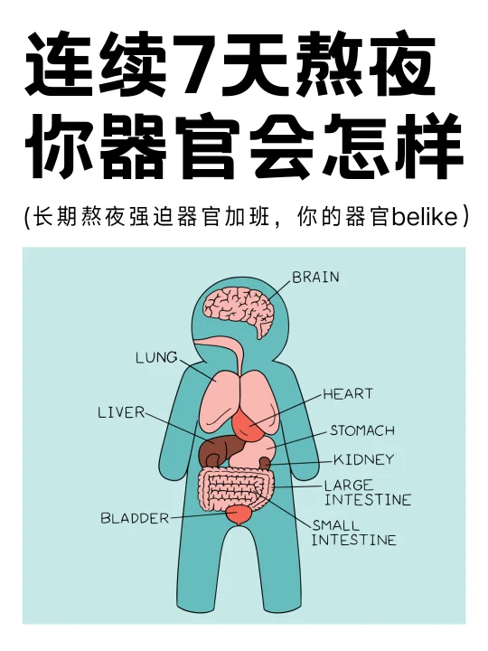连续熬夜7天你的器官会怎样
