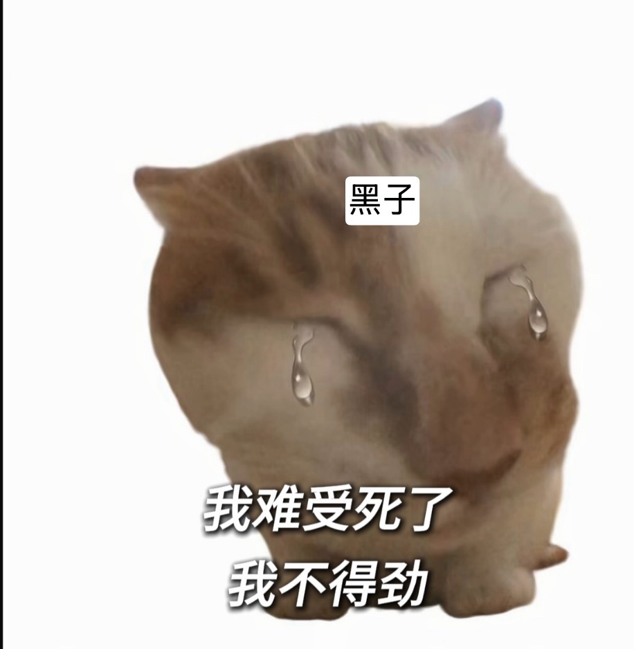 ie的脸是笑抽筋的嘿子的脸是打肿的这个《狩谎》真好