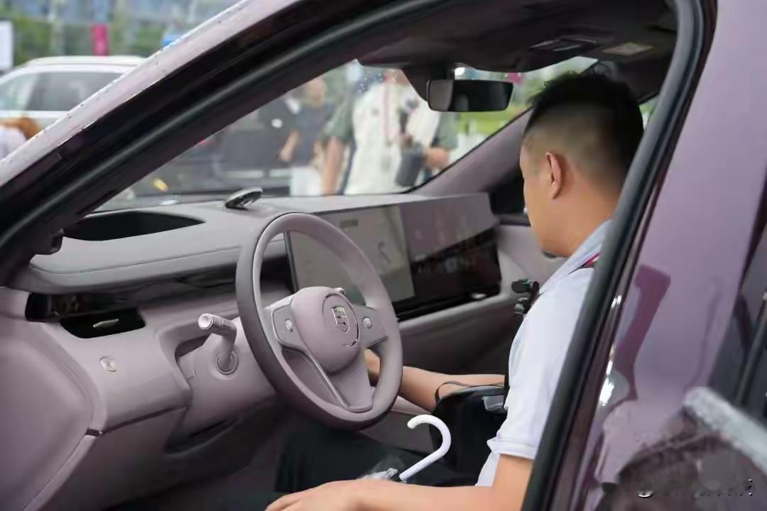 现在选家用大车，大家越来越务实，不再只看重车标，更关心一家人坐着舒不舒服，配置实