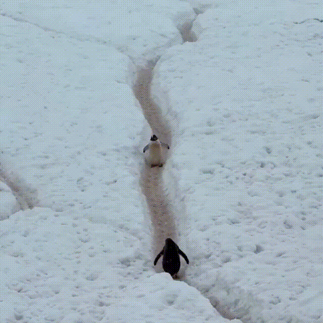 狭路相逢
拥抱一下