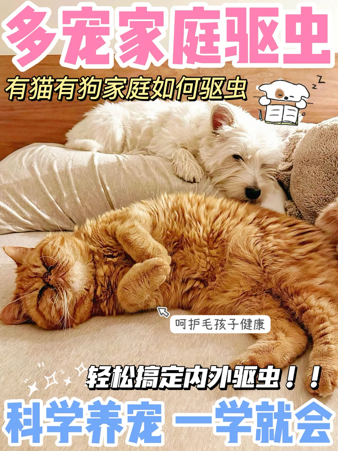 科学养宠驱虫很重要！铲屎官们切勿马虎～