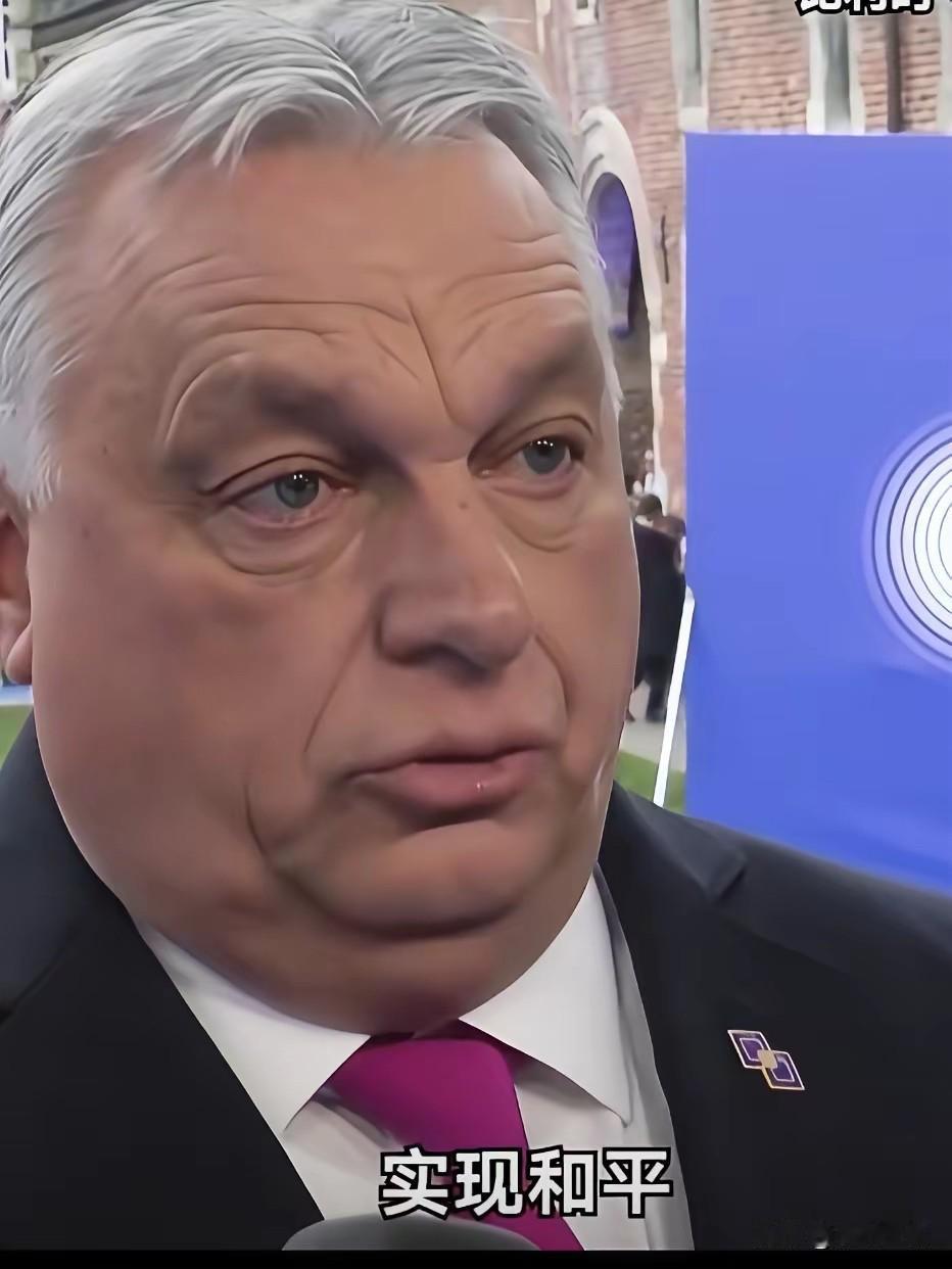 欧洲唯一清醒的人！
不得不说，匈牙利总理欧尔班，眼光真的太长远、太务实。整个欧洲