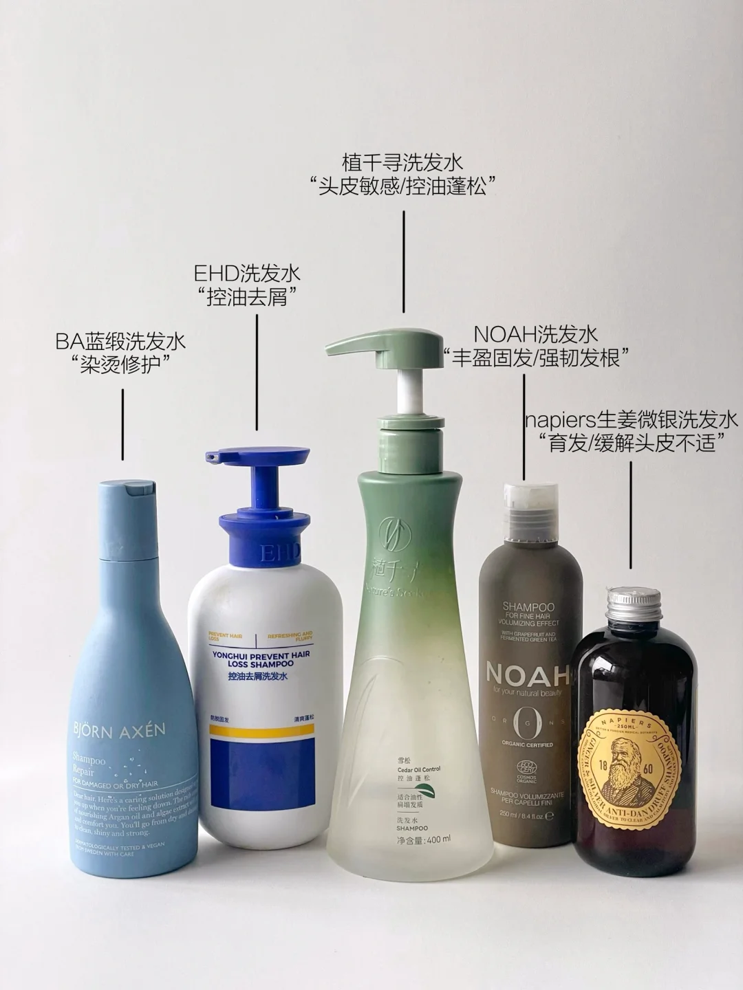 油扁塌少走弯路 | 泼天的清爽蓬松我接住了！