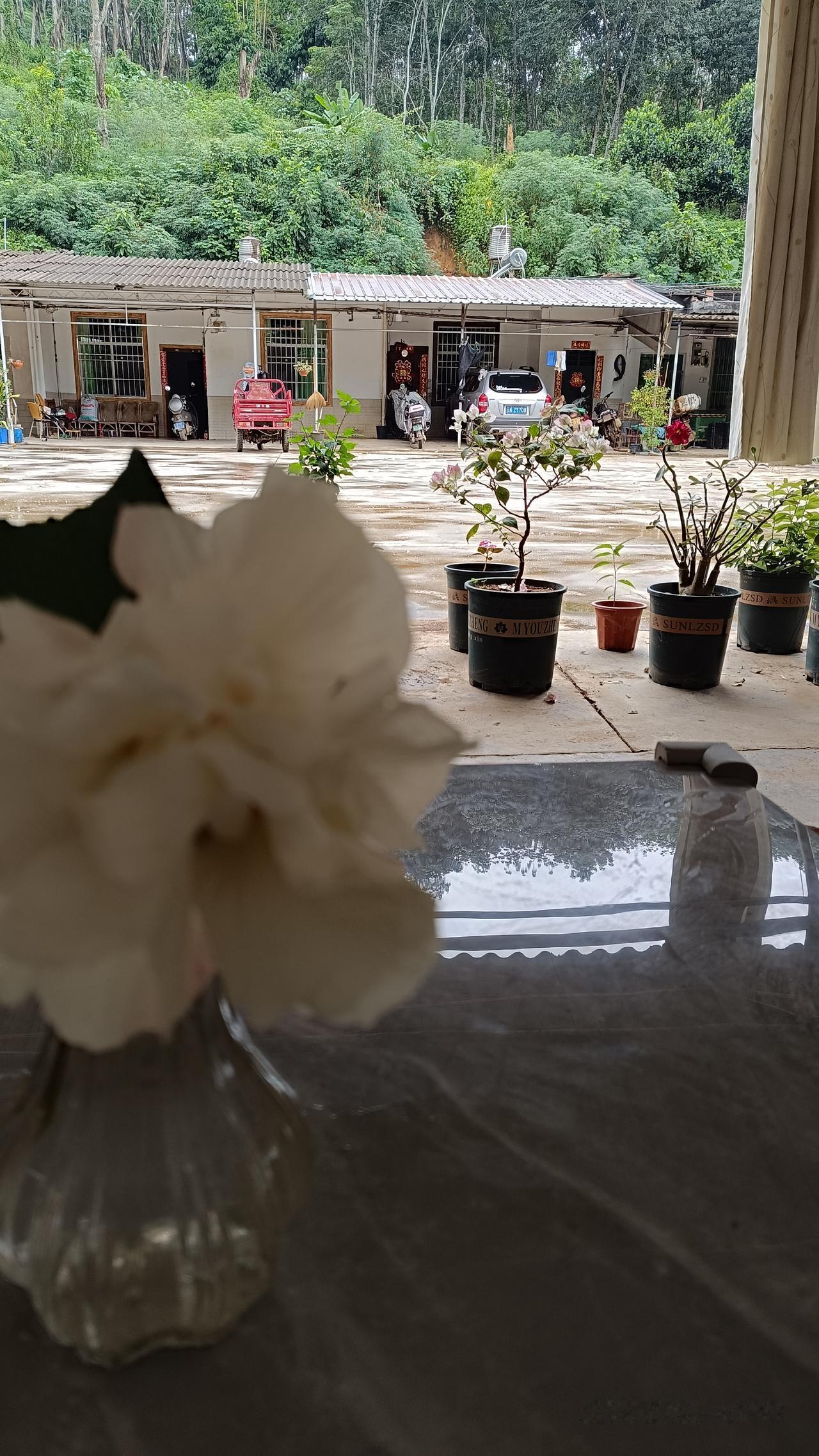 我见青山多妩媚，料青山见我应如是