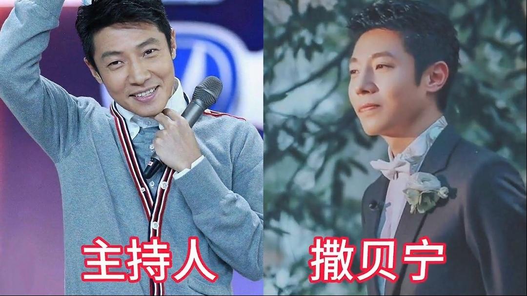 十位央视男主持各有风姿，颜值与底蕴兼备，气场远超流量明星。撒贝宁灵动风趣，谈吐机