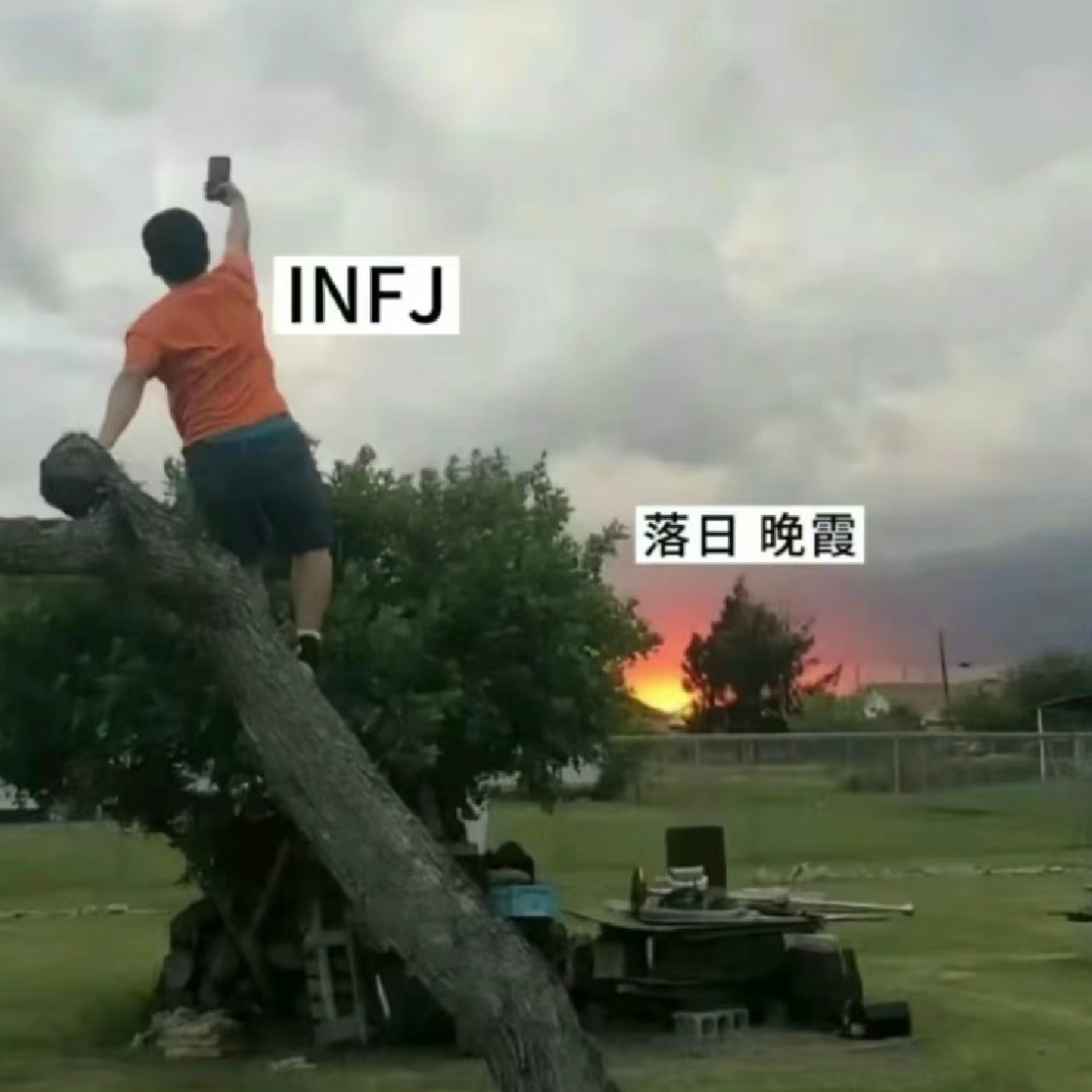 总结一下INFJ：易碎但难鲨的小绿老头[doge]#INFJ是个情绪稳定的疯子#