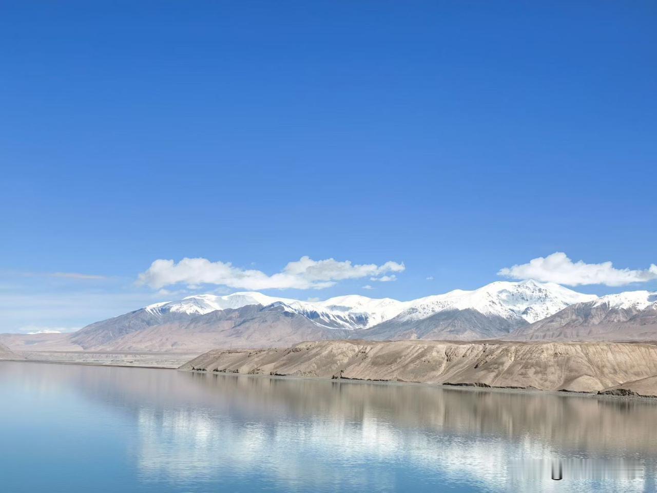 既然散户在出，主力就是在做踢，尤其是在渣男方向。那散户出的筹码又是谁在接？

聚