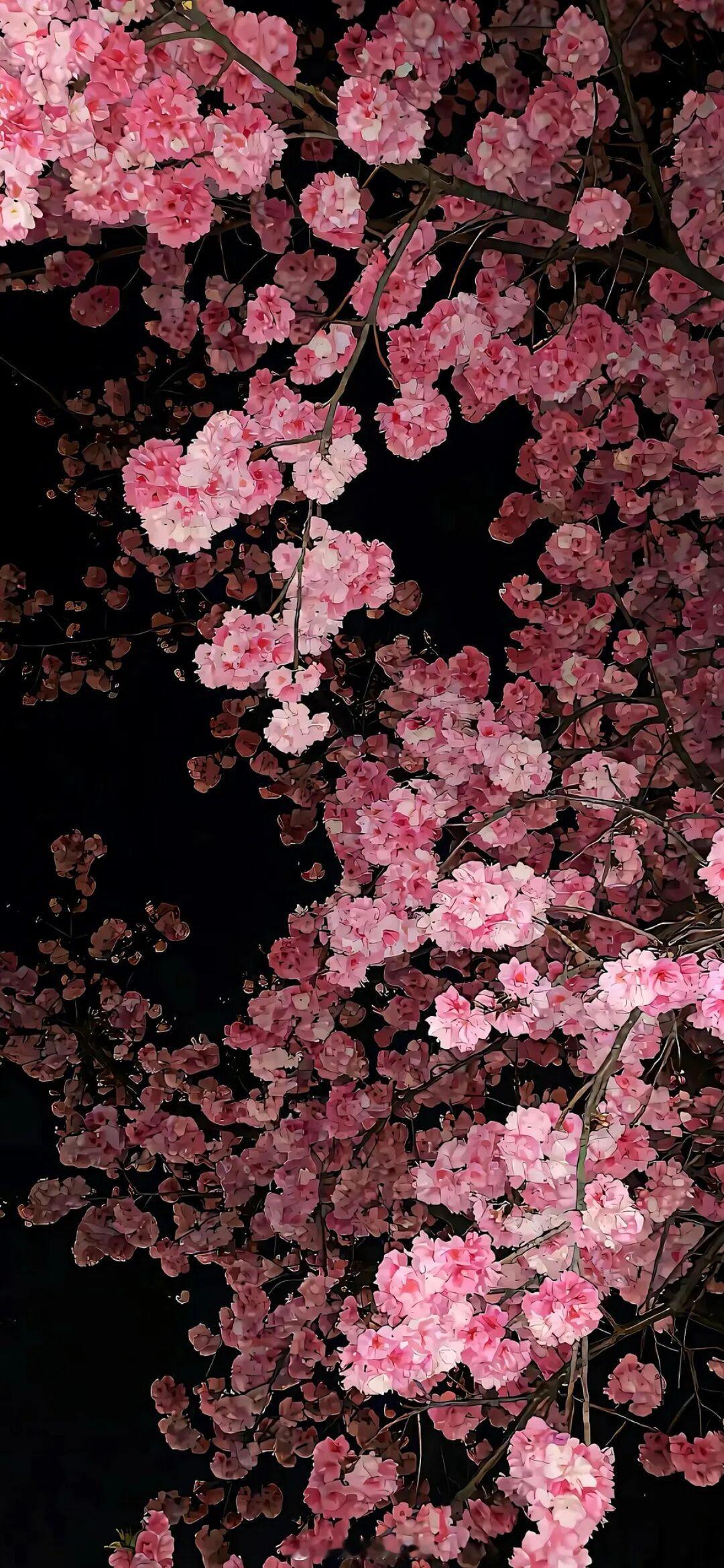 人有时候只是静静地待一会儿，悲伤也成享受。—— 史铁生《合欢树》早安