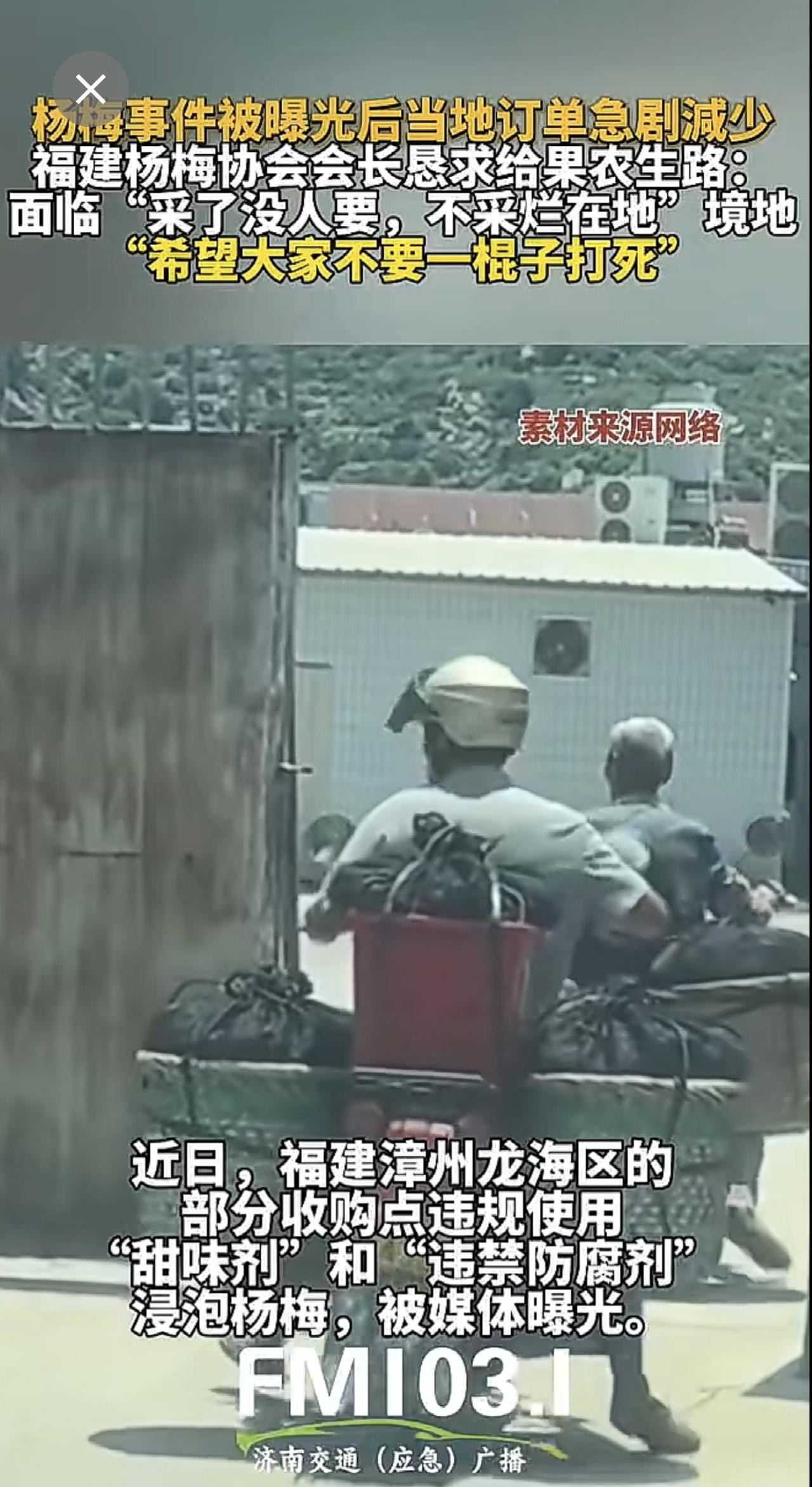 杨梅事件被曝光后当地订单急剧減少，福建杨梅协会会长恳求给果农生路：面临“采了没人