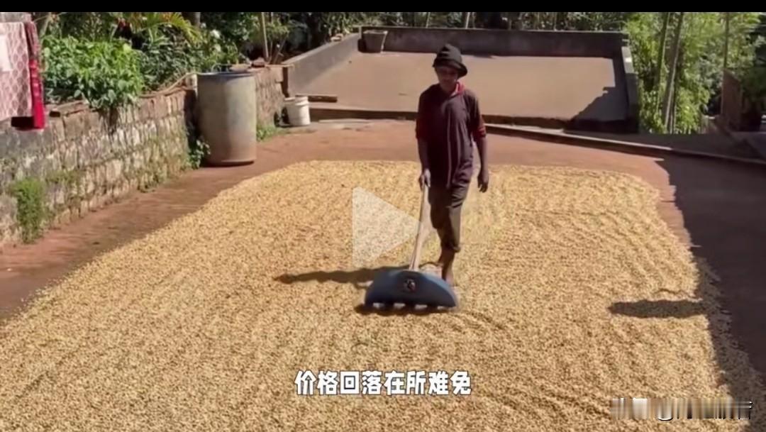 大豆不是主要粮食，威胁不了中国。

巴西你这样做不厚道，违背了市场供需规律。不过