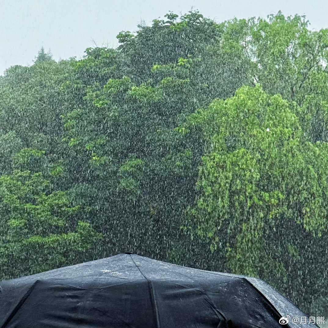 上个班像是在乘风破浪！这哪里像是黄梅天的雨，欺负牛马的疯雨！可以拍陆依萍雨天讨钱