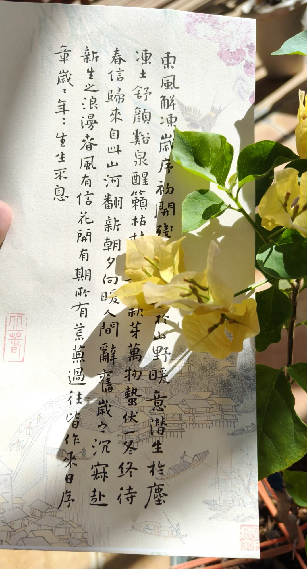 二十四节气~立春