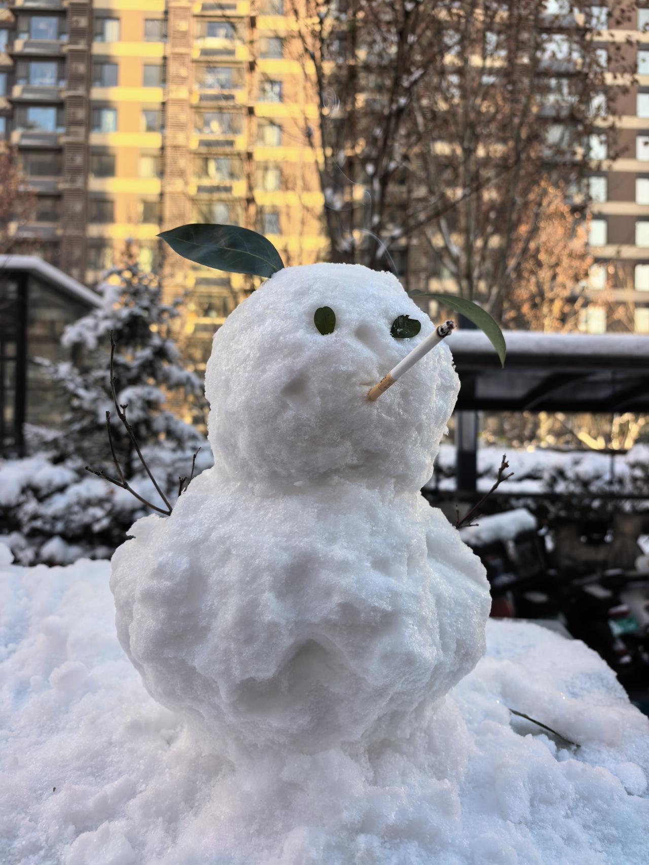 分享一张雪景图抽烟的雪人