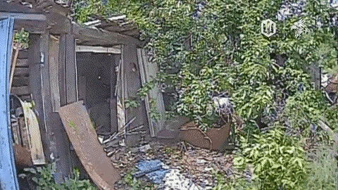 这好像就是在轻松的追击、清剿、消灭已经作鸟兽散的散兵游勇？
一个士兵很可能是惊慌