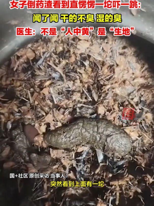 一女子去看中医，开了几副中药回家自己熬，当她将药熬好准备倒掉药渣时，万万没想到：