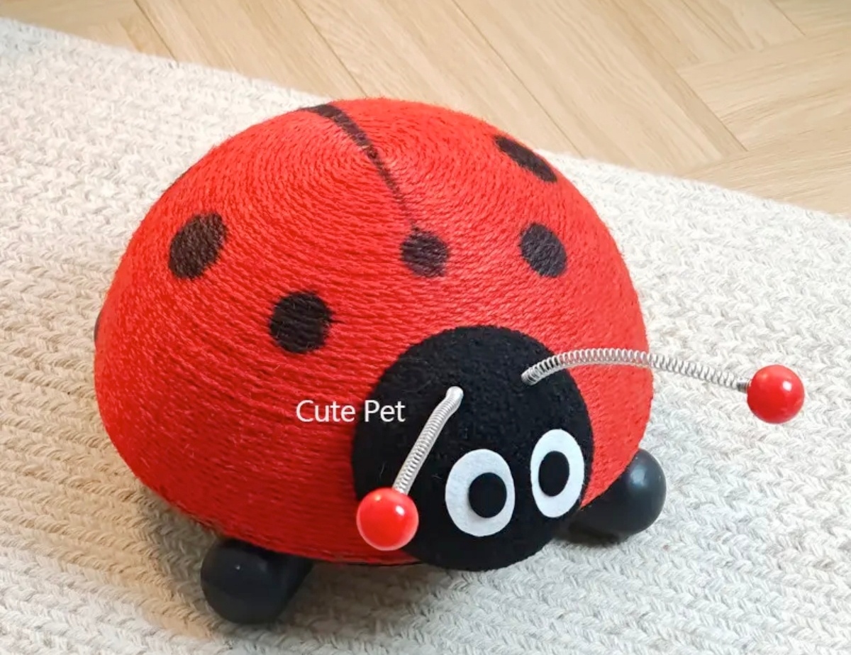 坐等🐞回家