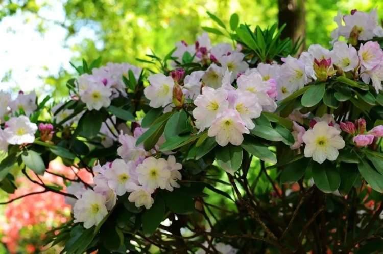 储能行业传来重大消息，相关概念股有望站上涨幅前沿！
4月4日，媒体消息显示，一季