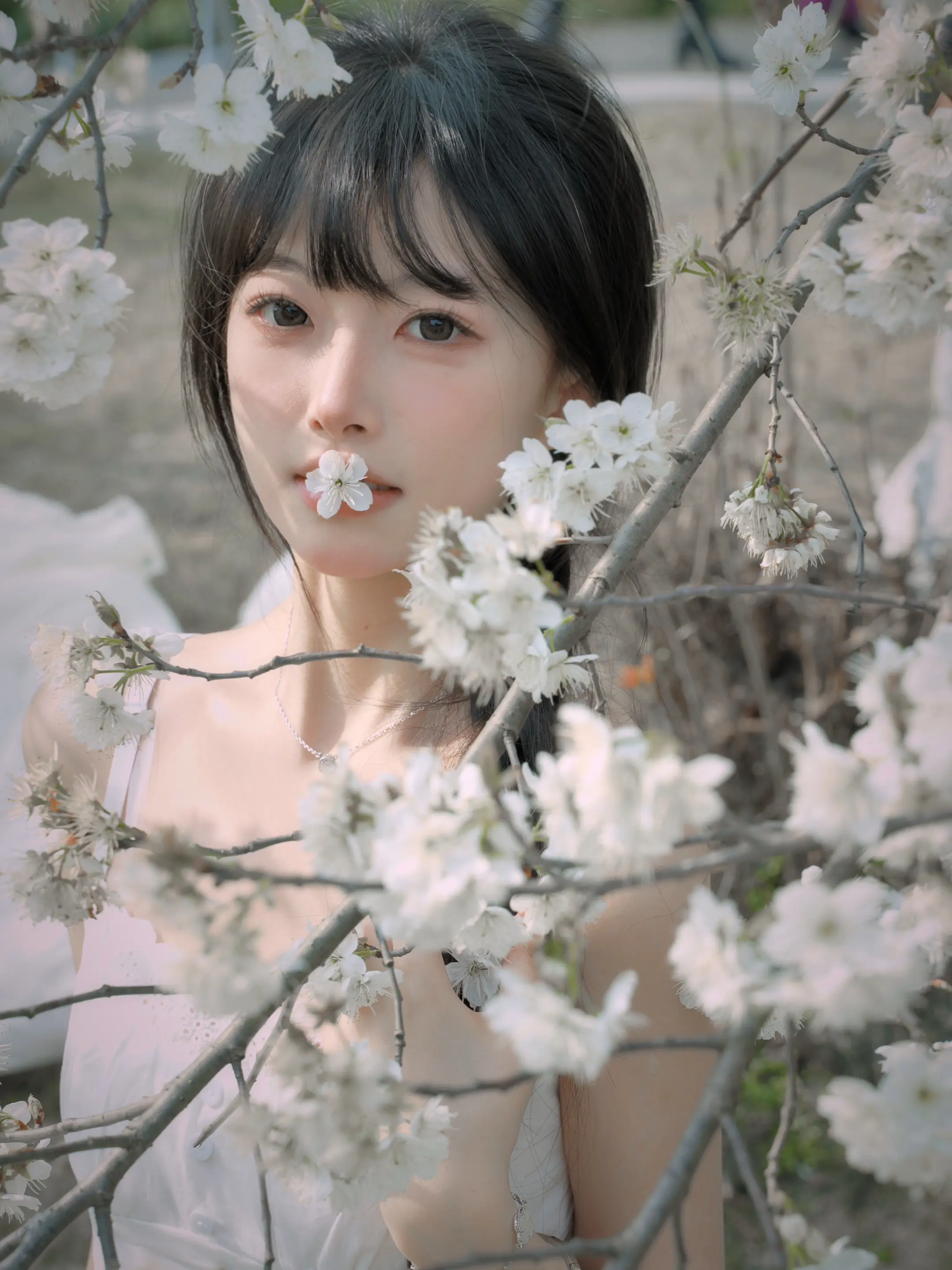 曾以为永远不会走的一切 消失的无影无踪。