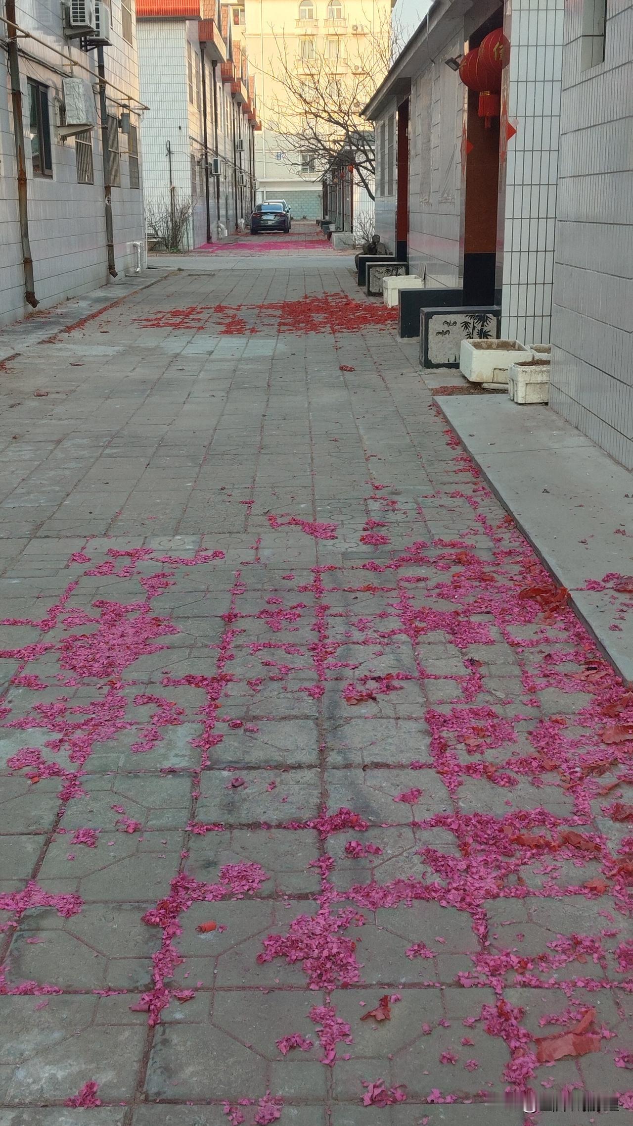 今年过年有个奇怪的现象
今年过年我哪里也没去，在家睡了一上午，大家不约而同的不串