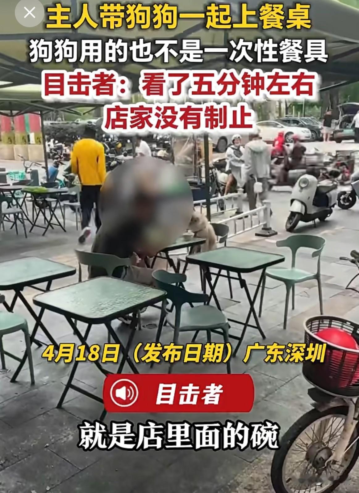 让狗直接用饭店公共餐具进食。目击者看了五分钟，店家也没制止。这事儿发生后，饭店说