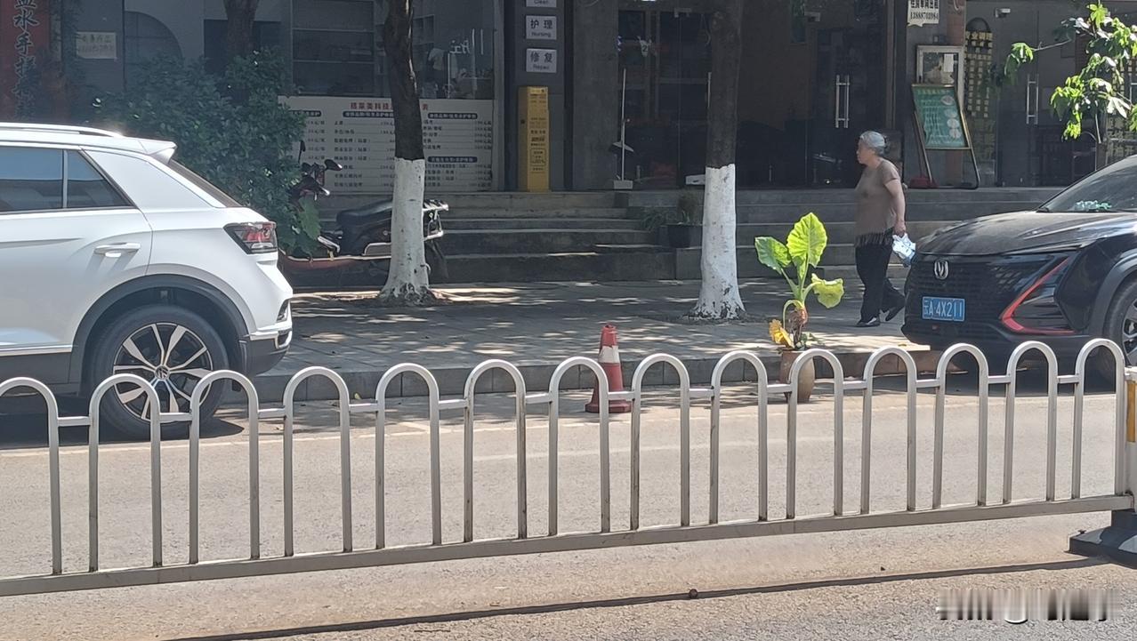 带小孩子到昆西山区海盛路金盾花园这里办点事，导航显示，这里路边可停车，但是到了这