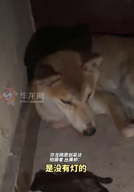 这就是缘分！浙江，一位住十楼的女生下班到家，刚站门口就闻到一股血腥味，吓得赶忙打
