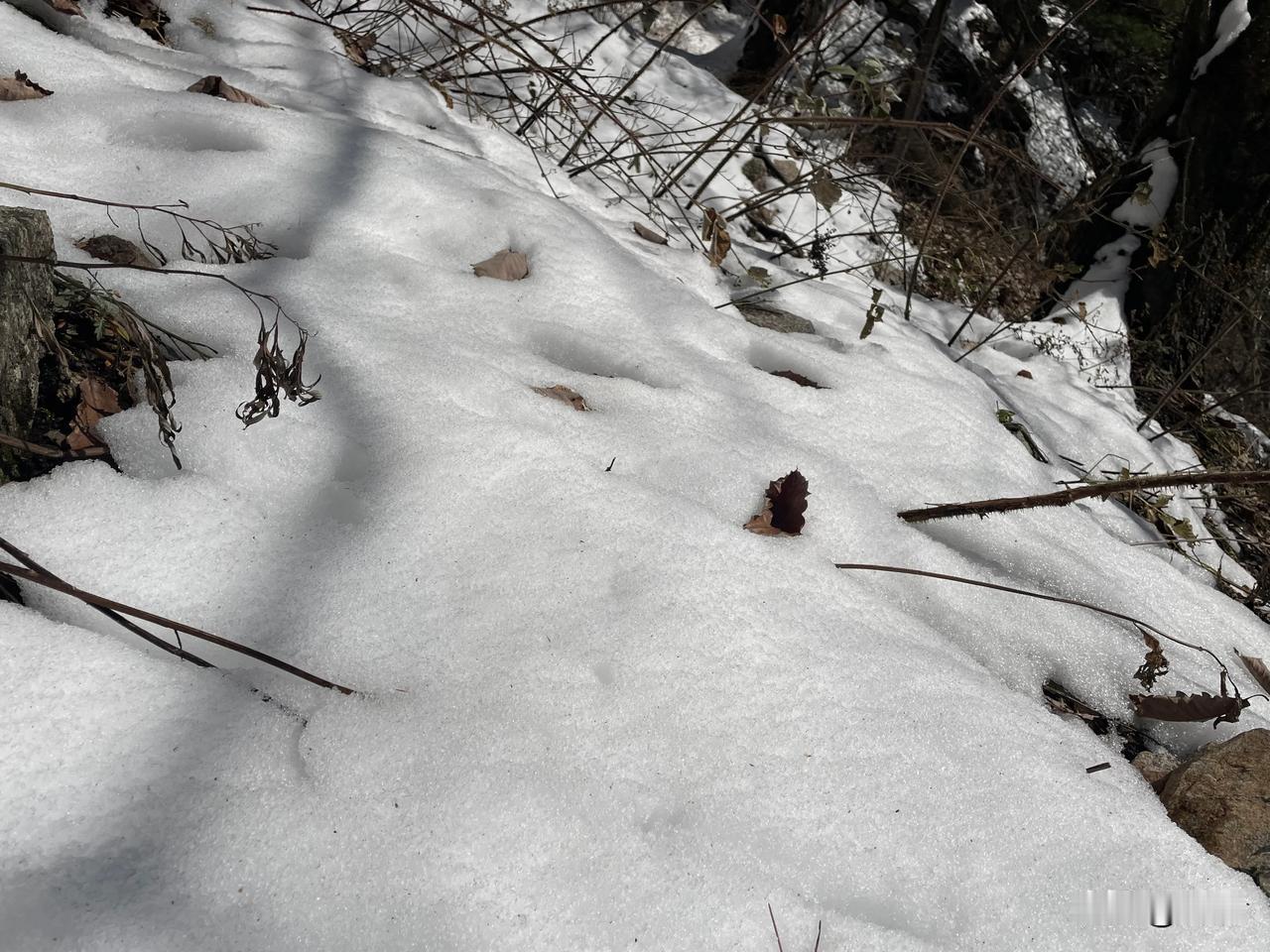 【七绝•风迎大雪满天寒】
风迎大雪满天寒，万里山河收笑妍。
徜若柴门拥不启，围炉