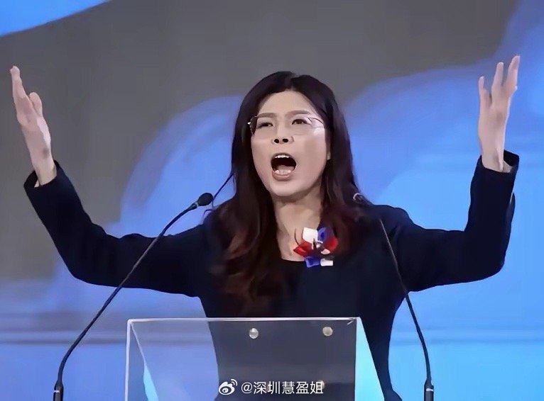 把郑丽文的所有视频都看了，她的核心诉求就是两岸要和解，和平，交流，她一再强调，台