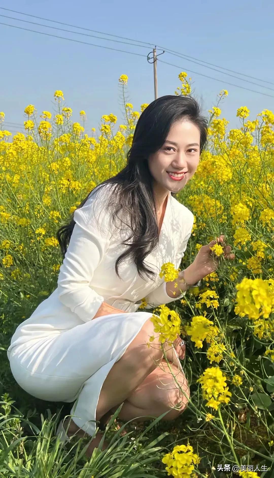 春天里花的世界